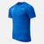 Faded Cobalt